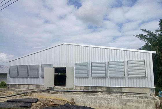 Q235B Structure en acier maison de volaille cadre en acier peint poulailler